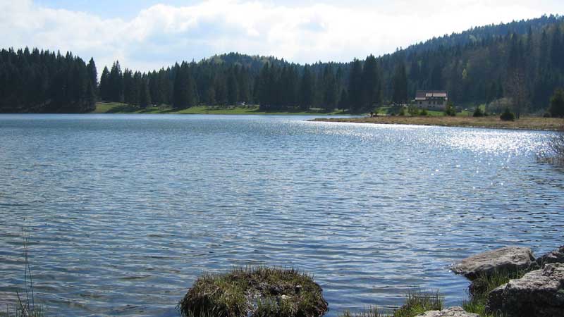 Lac Genin